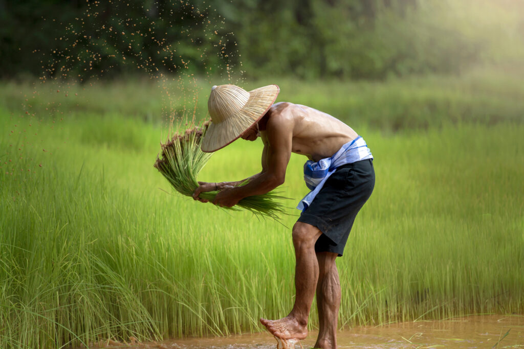 Farmer working on the field. (c) AdobeStock
