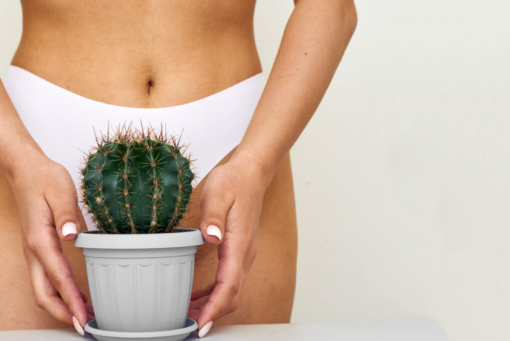 The girl holds a large cactus in the groin or bikini area. The concept of intimate hygiene, epilation and depilation, deep bikini shaving. (c) AdobeStock