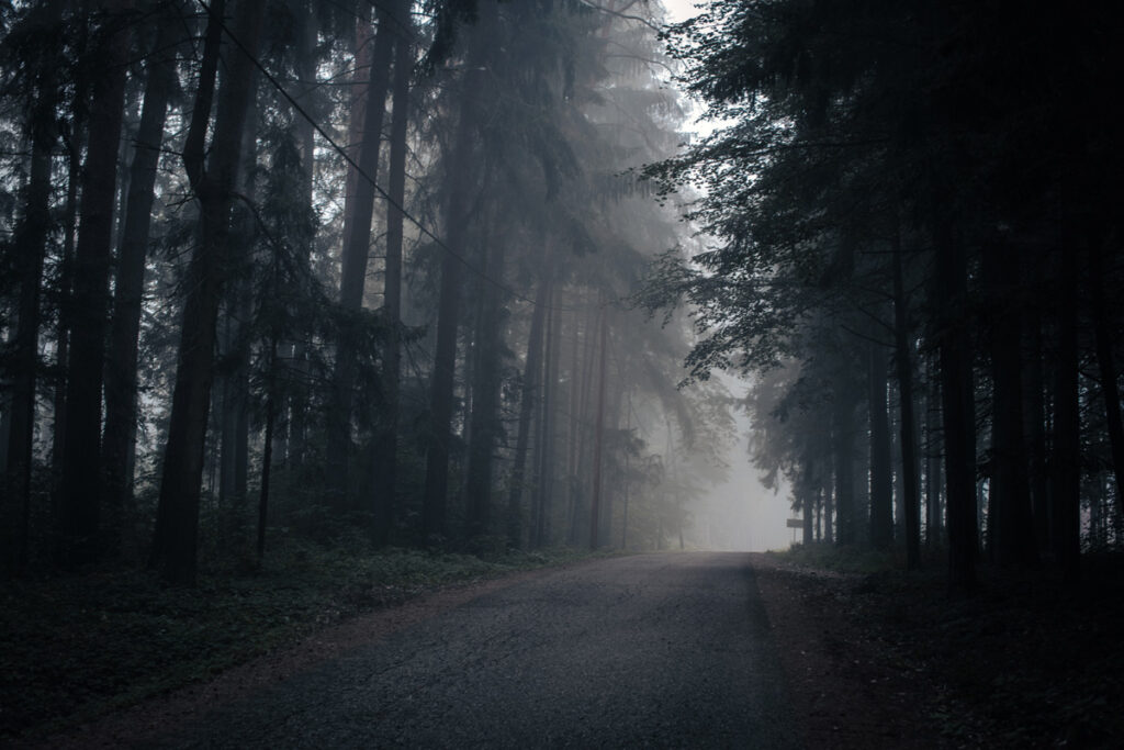 "Ein Land sieht schwarz" – Gewaltenteilung auf österreichisch 1 Ein düsterer Waldweg, Stichwort Gewaltenteilung.
(c) AdobeStock