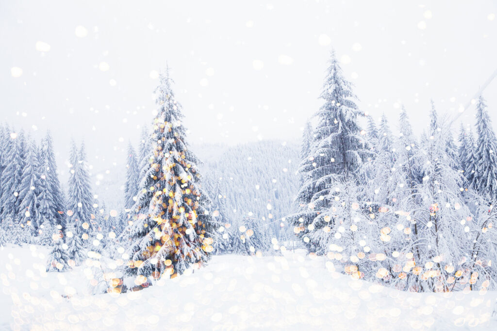 magical christmas tree lights winter background. (c) AdobeStock