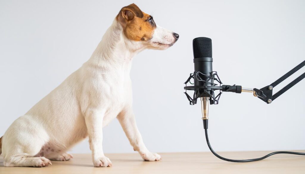 Tiergarten Schönbrunn: Papagei moderiert neuen Podcast »Free Willy« 1 Ein Hund vor einem Podcast-Mikrofon.
(c) AdobeStock